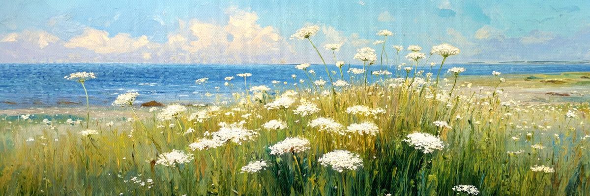Queen Anne's Lace by the Seaside