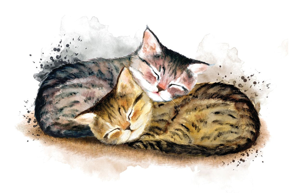 Cuddling Kitten Pair Splatter