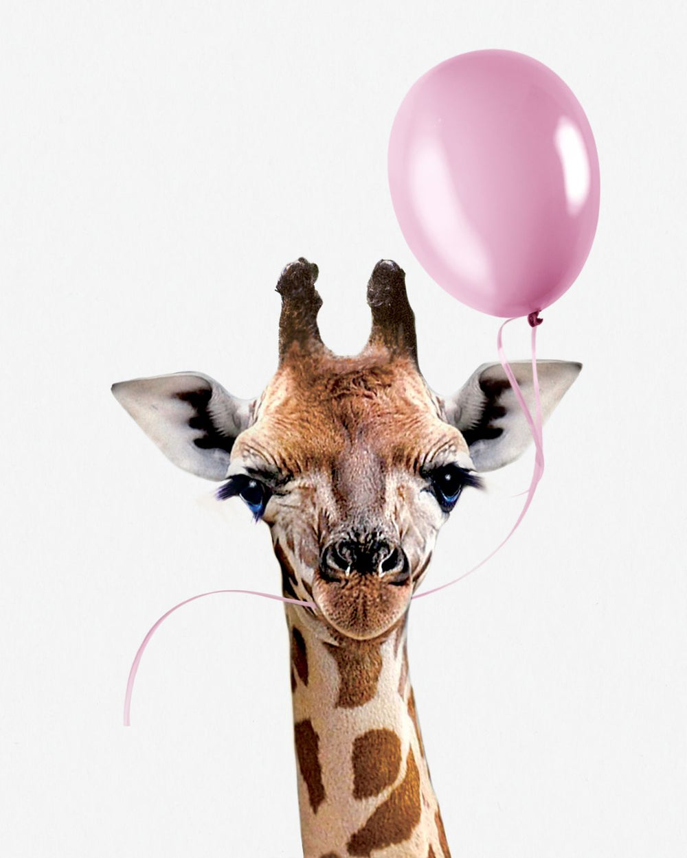 Giraffe And Pink Balloon