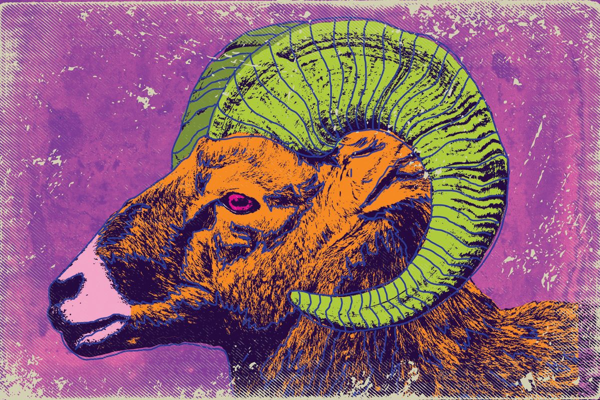 Retro Bighorn Sheep