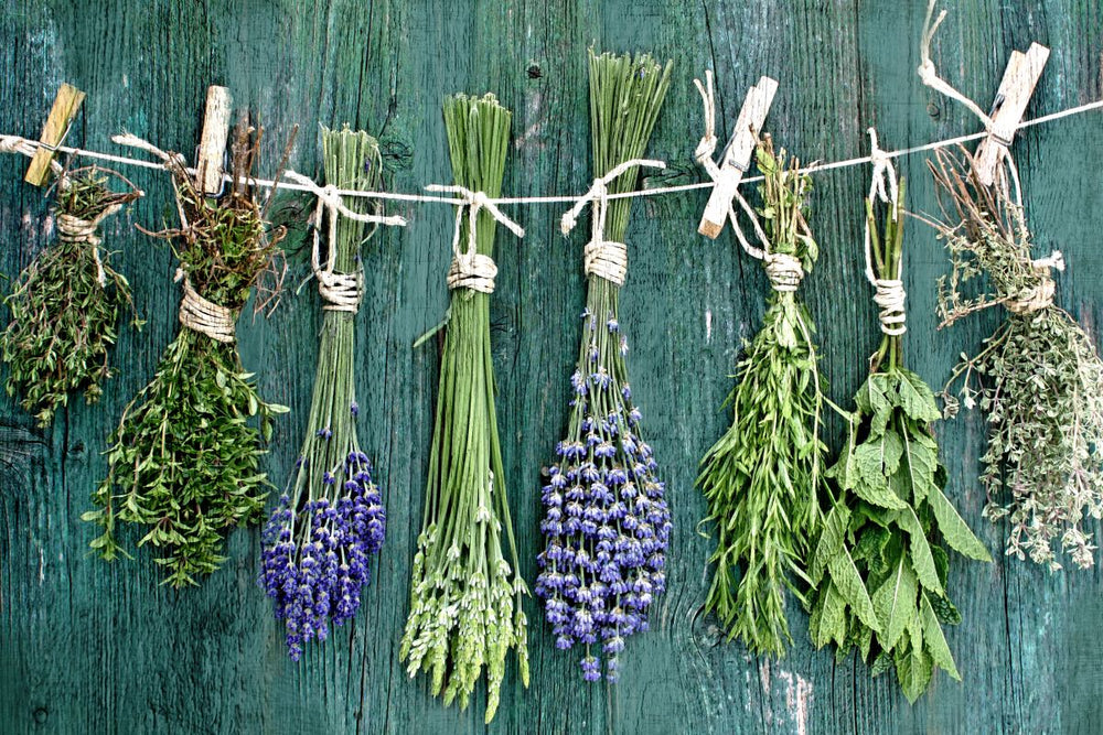 Dried Herbs On Wood