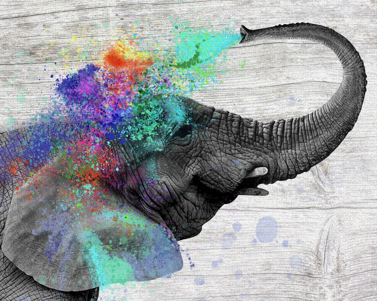 Colorful Elephant Splash