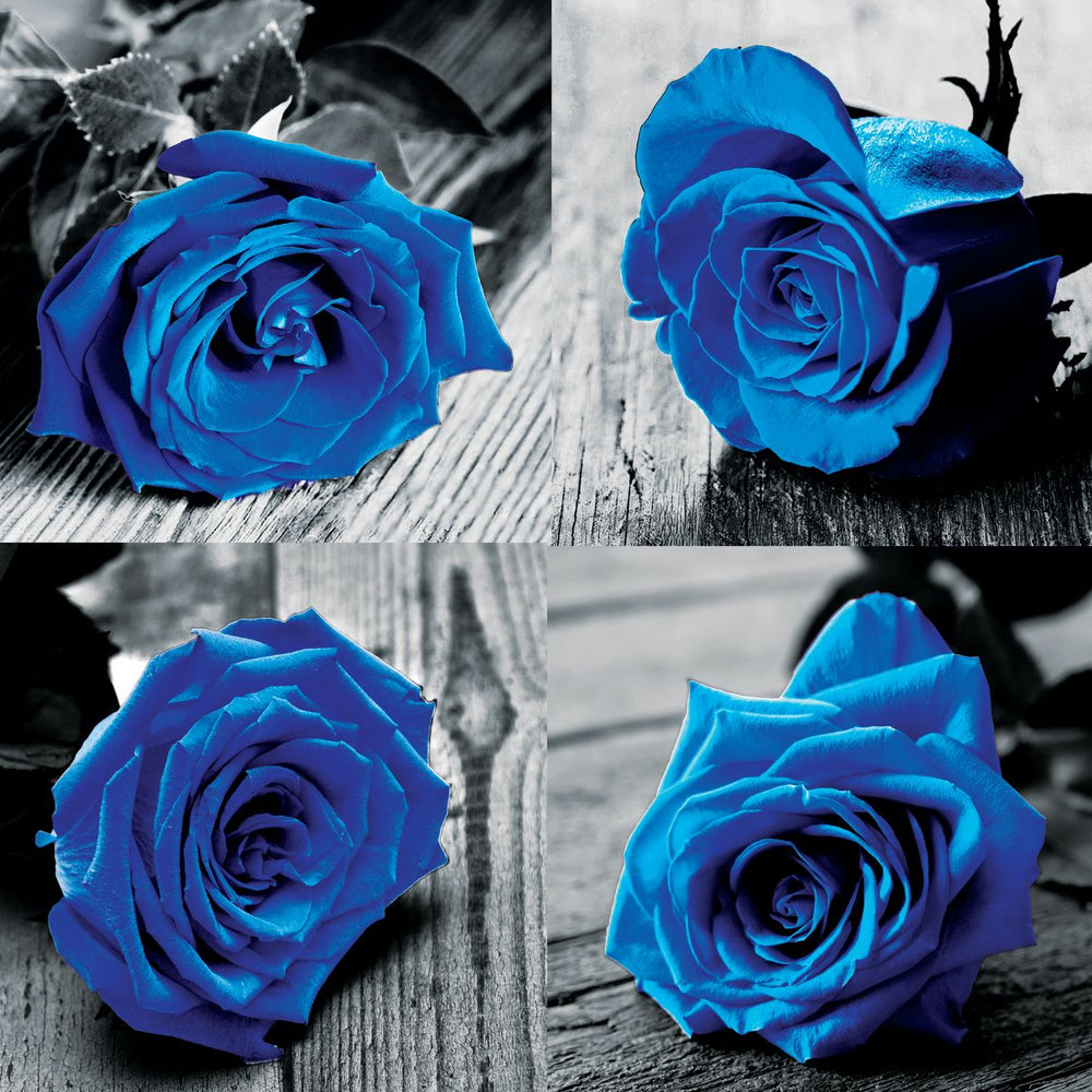 Blue Roses Pop Set