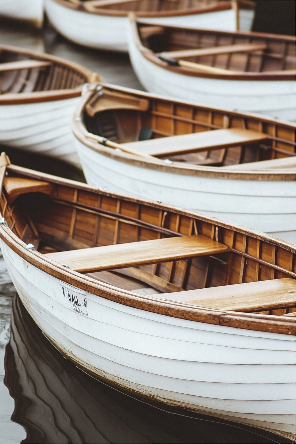 White Boats In Stillness
