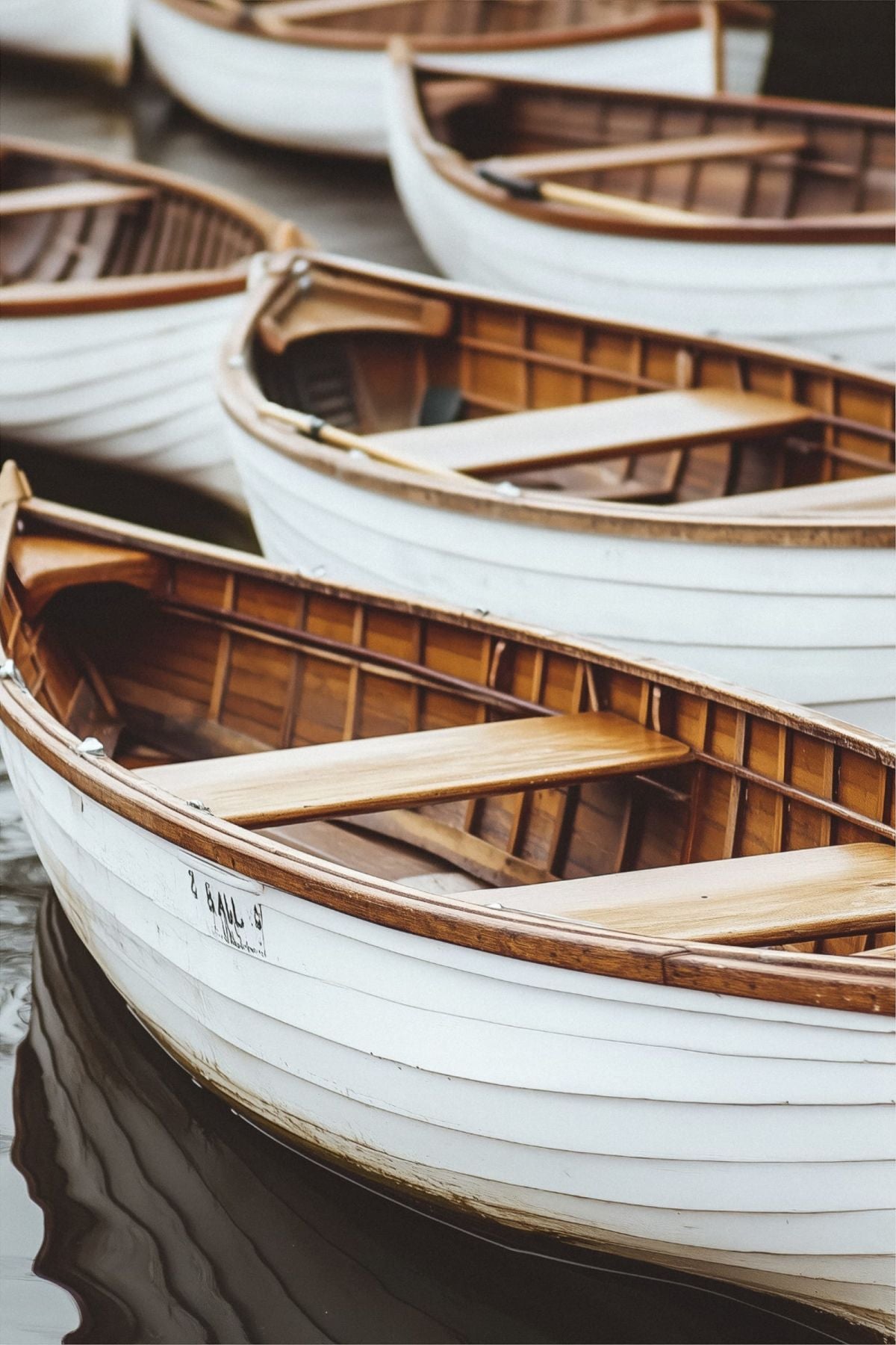 White Boats In Stillness