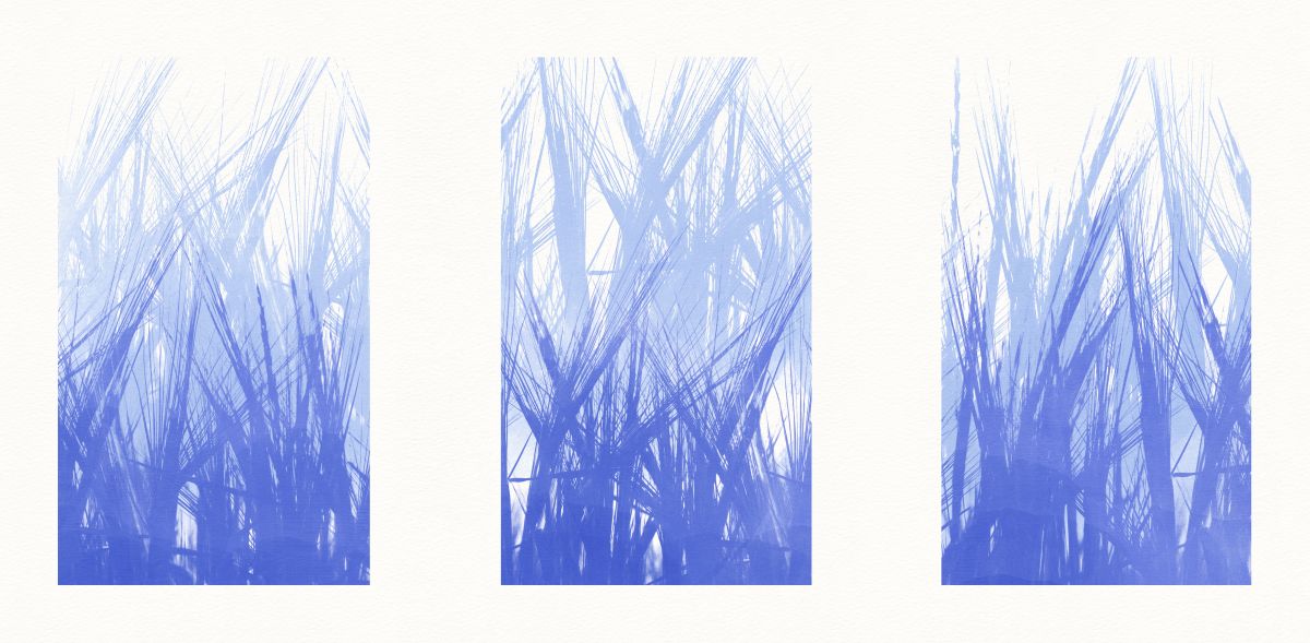 Blue Uprising Triptych