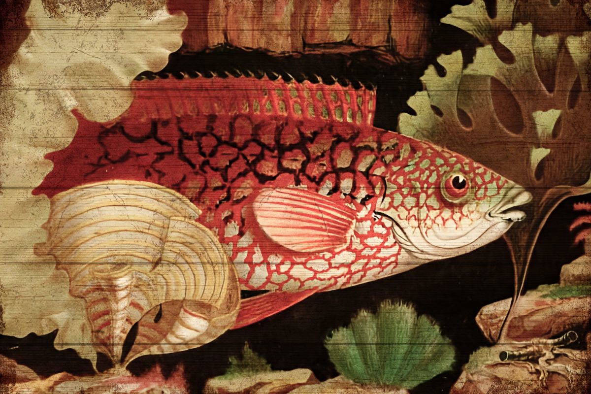 The Aquarium Inspired Wall Art