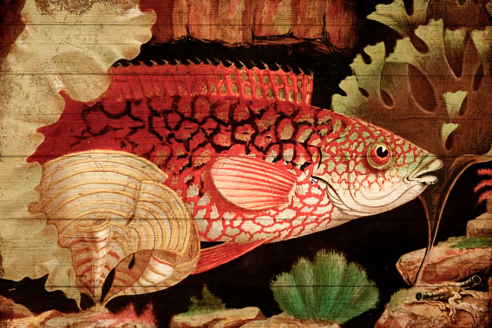 The Aquarium Inspired