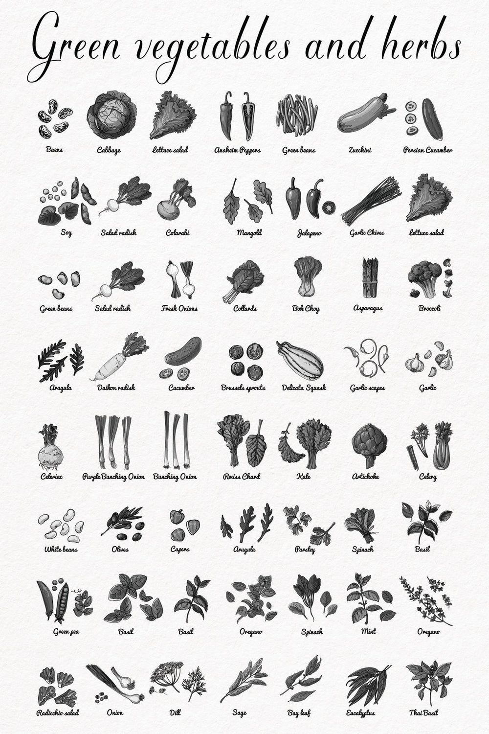 Green Vegetables And Herbs Chart