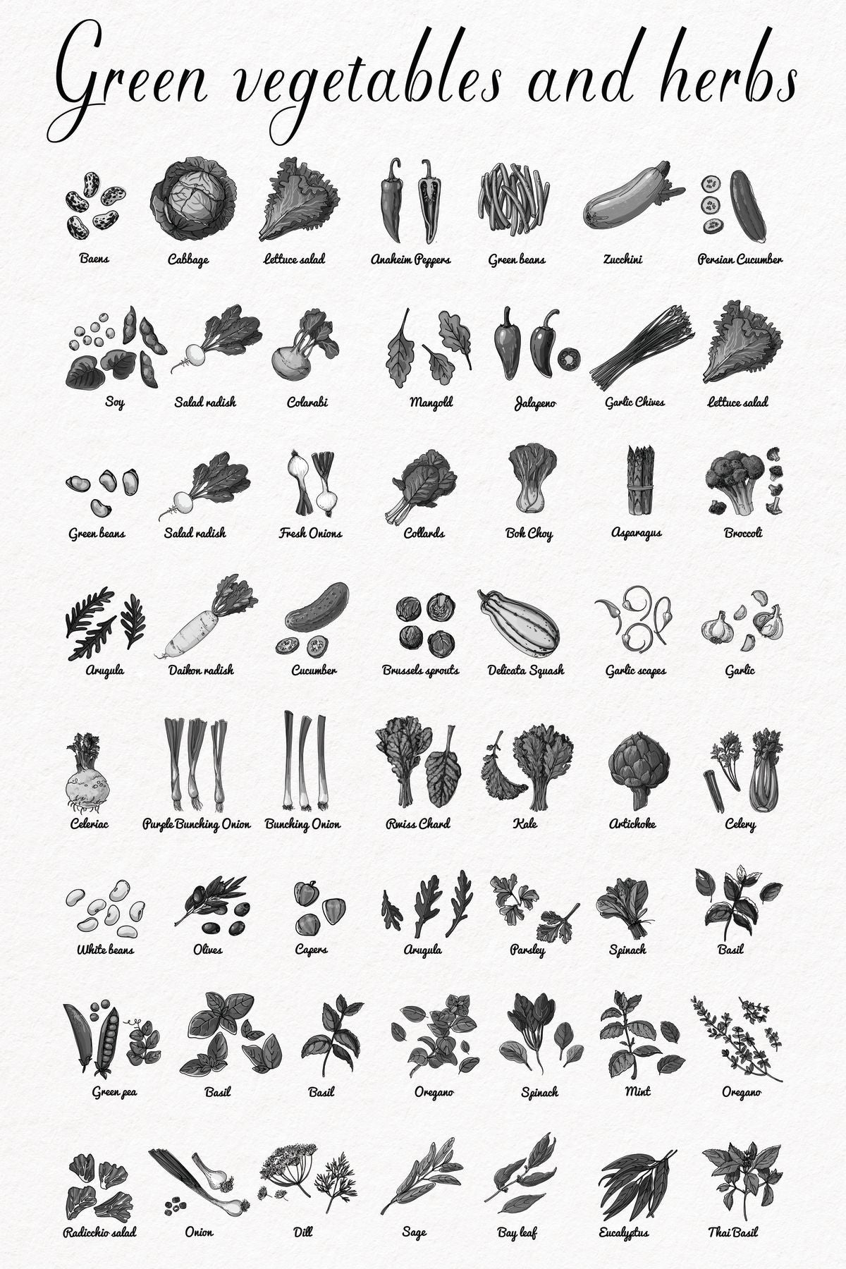 Green Vegetables And Herbs Chart