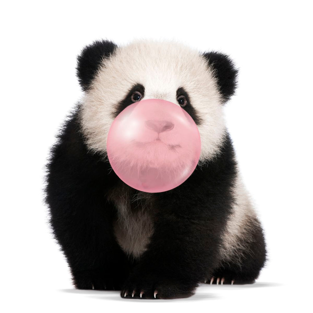 Bubble Gum Baby Panda