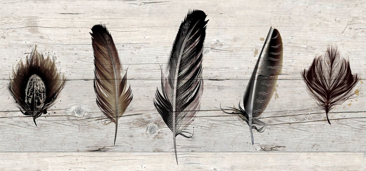 Black Feathers On Wood