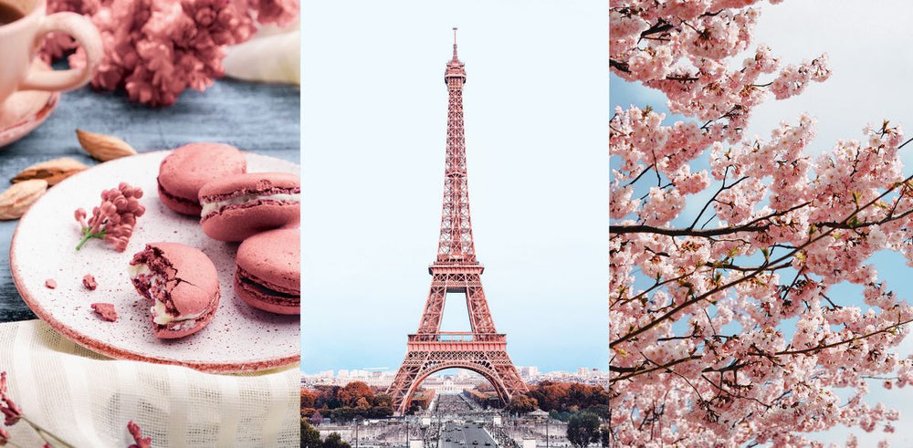 Macarons Sakura And Eiffel