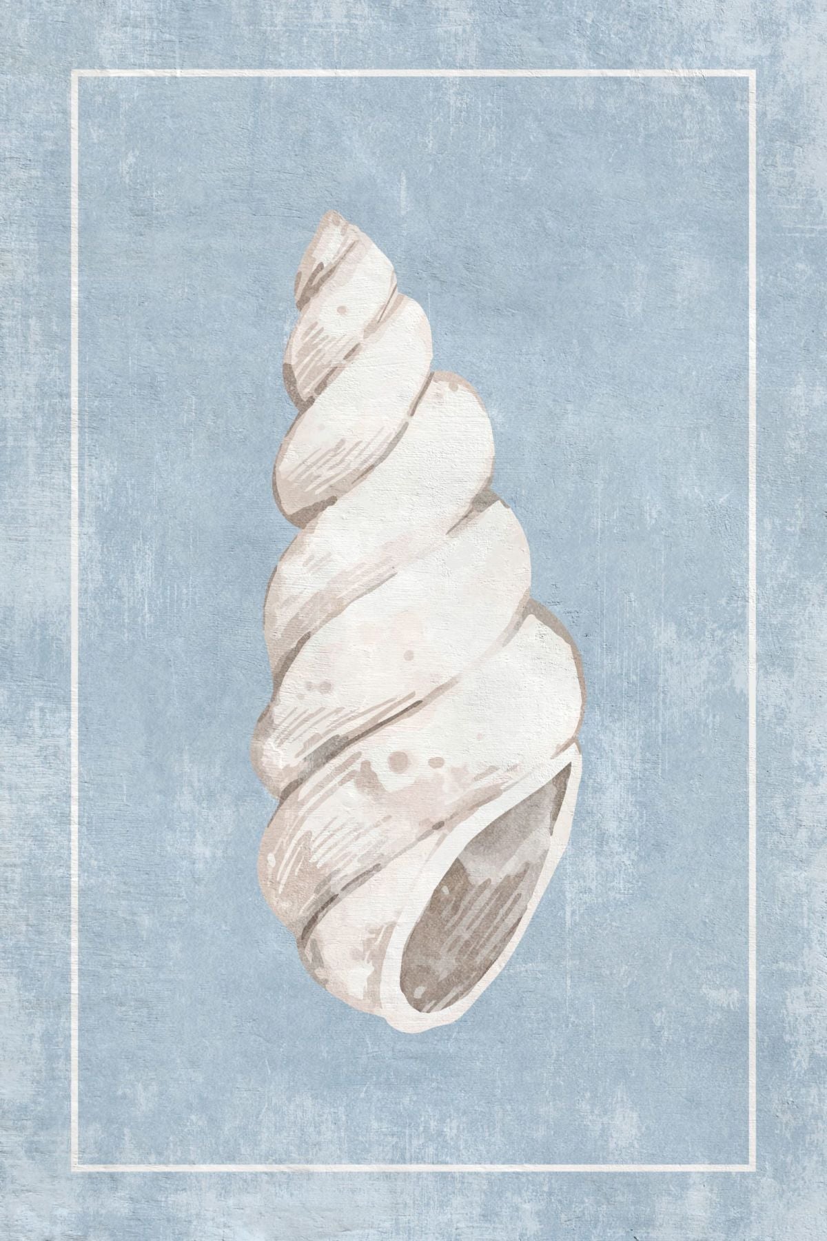 White Wentletrap