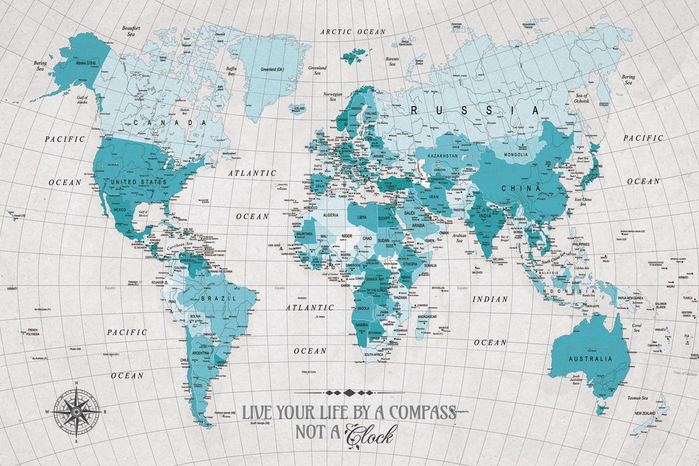 Life By A Compass Push Pin World Map