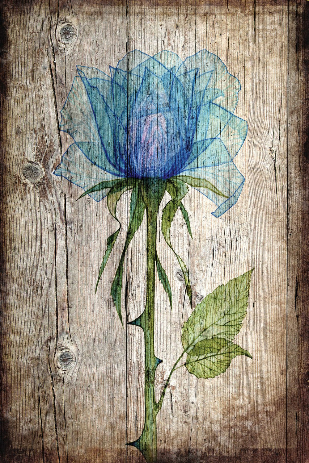 Rustic Blue Rose