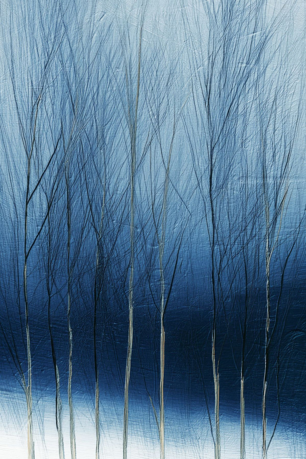 Barren Trees I