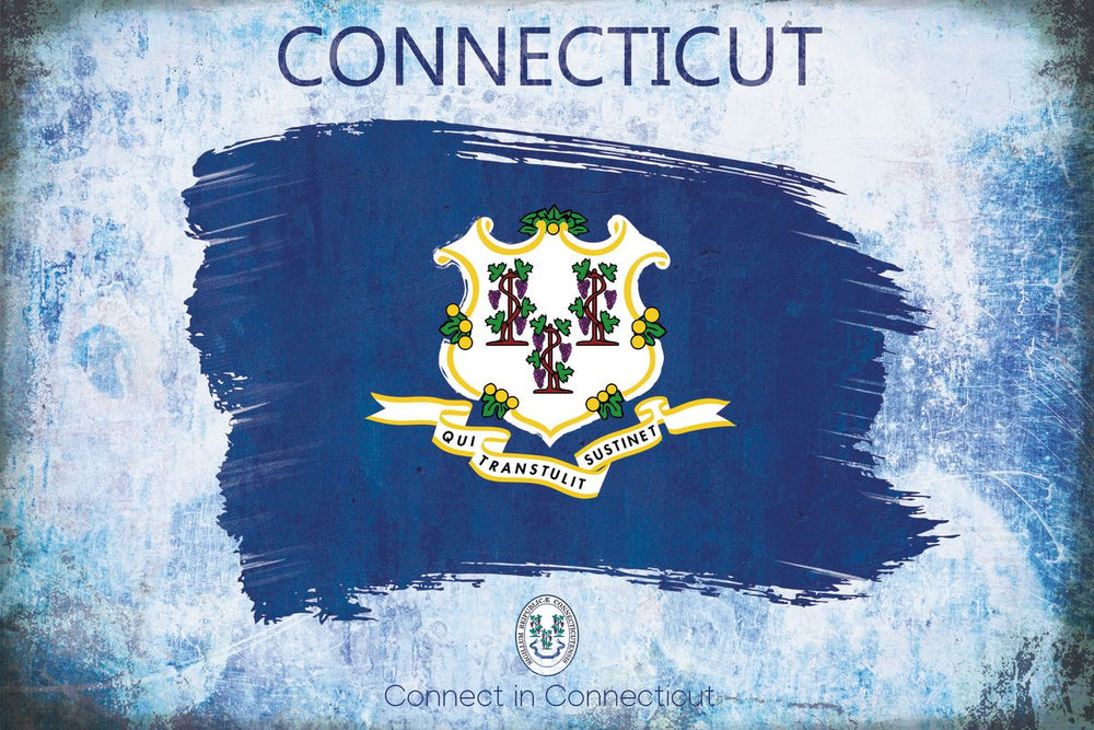 Connect In Connecticut State Flag