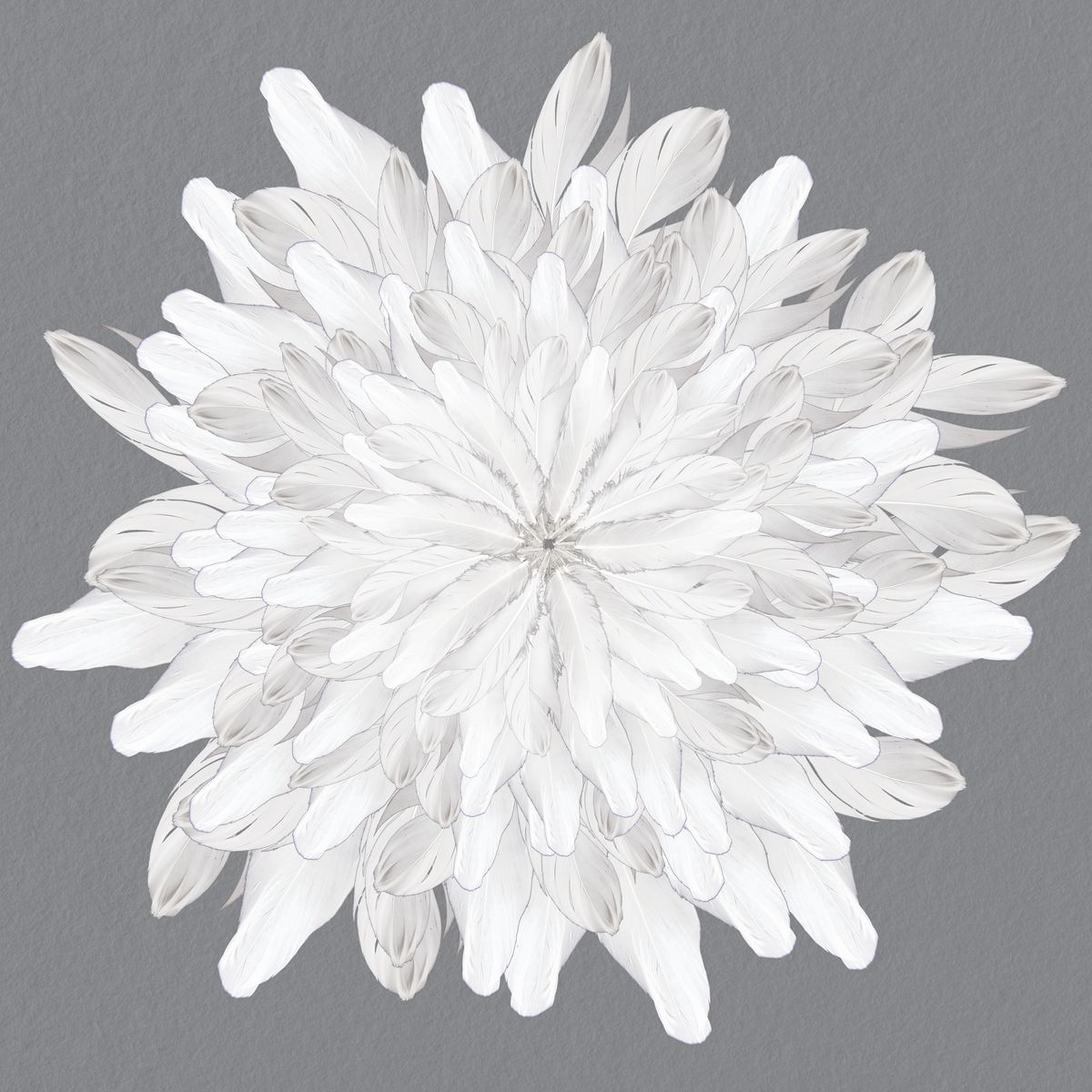 White Feathers Florette