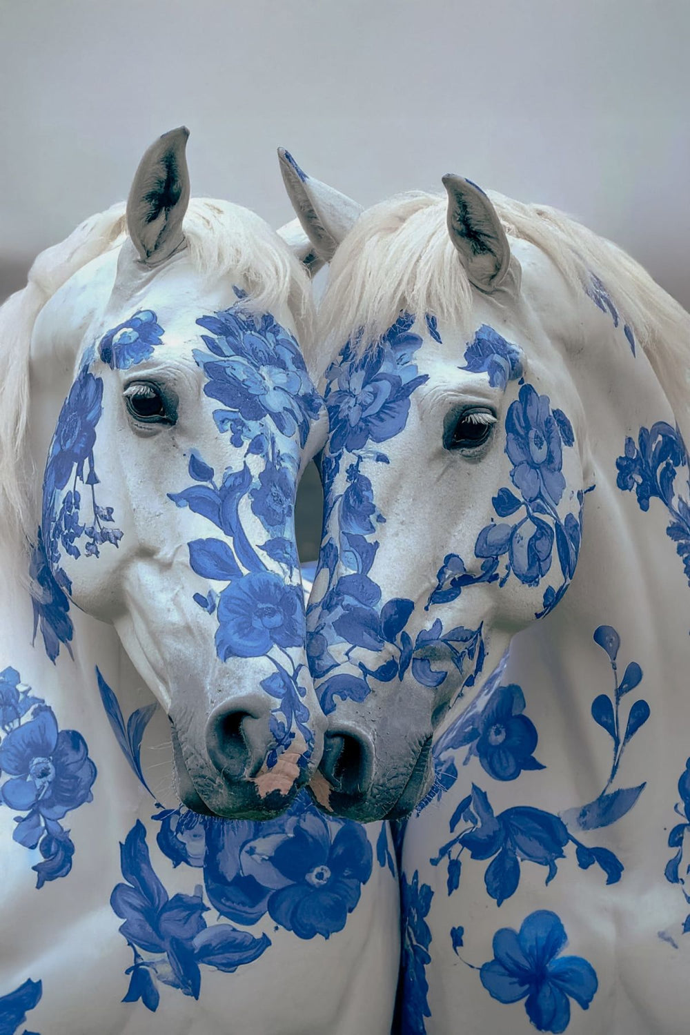 Florals On White Horses