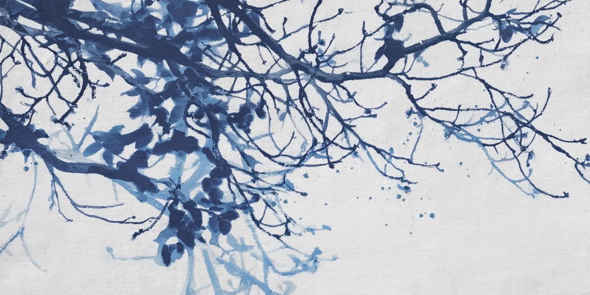 Silent Branches