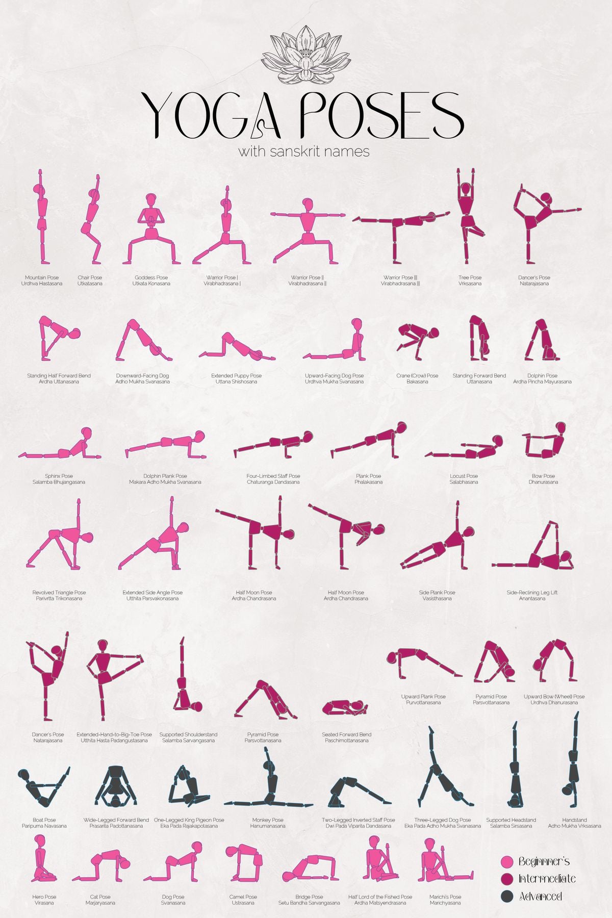 Yoga Poses Chart