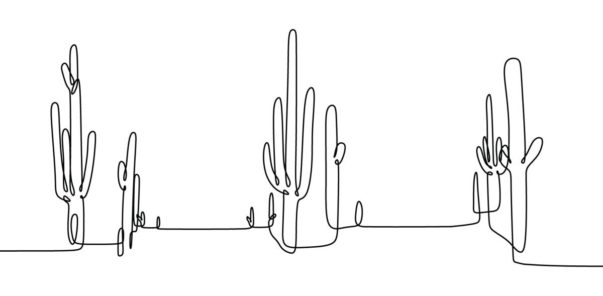 Minimalist Line Cactus