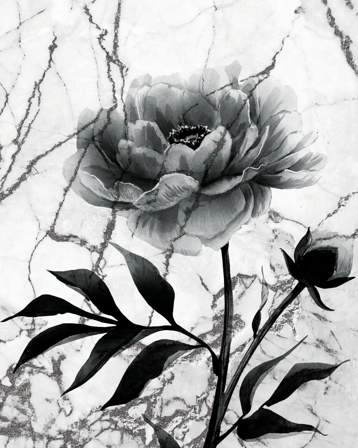 Peony On Marble