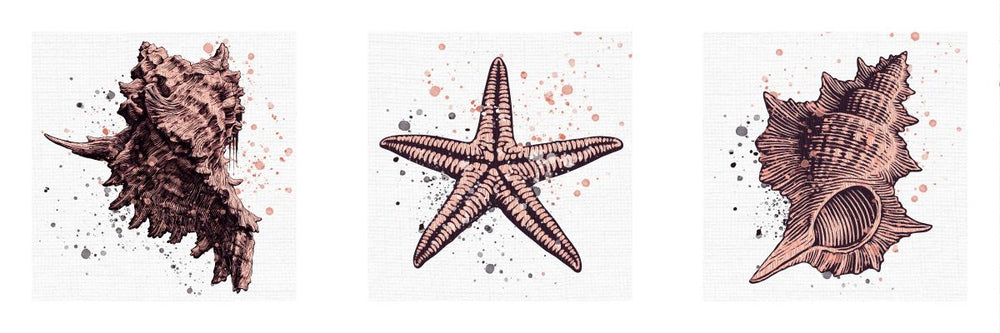 Seashells And Starfish
