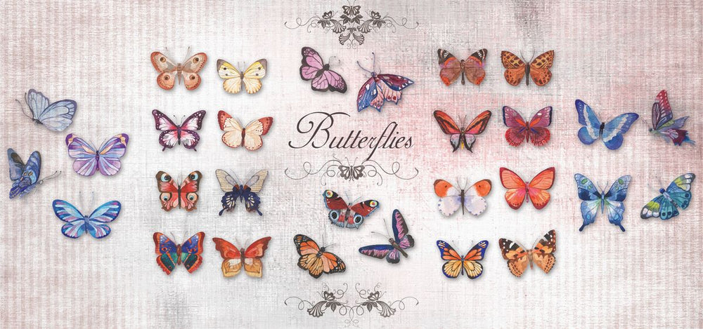 Butterflies Chart