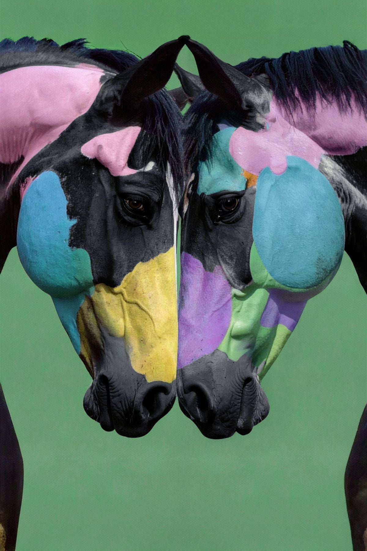 Horses Born Of Color
