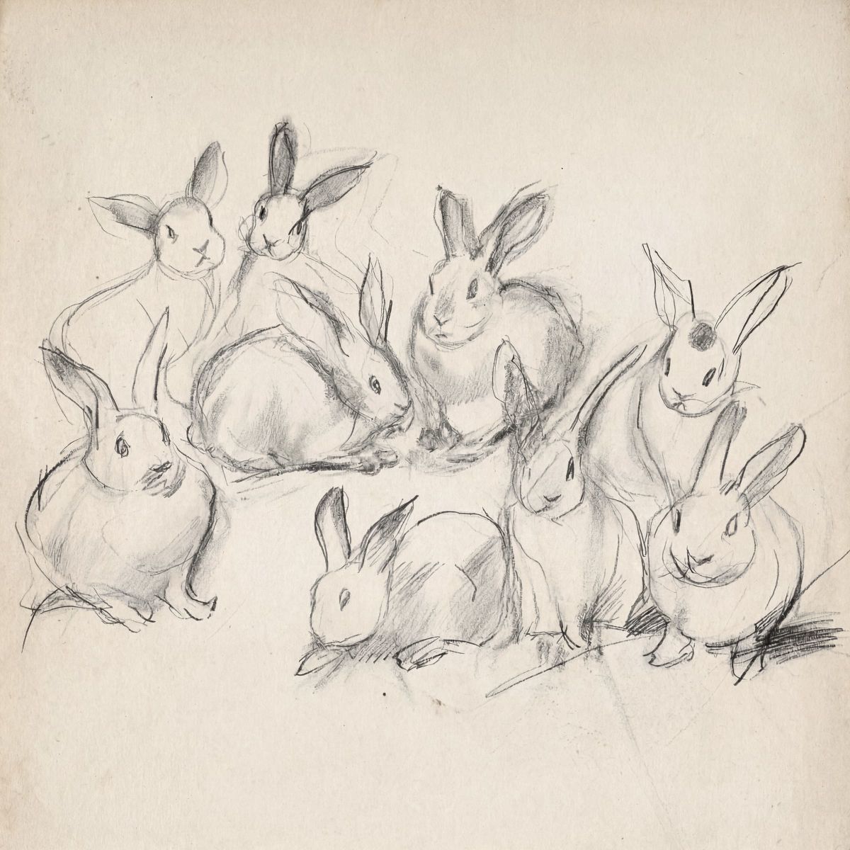 Artistic Rabbit Study Pencil Sketches