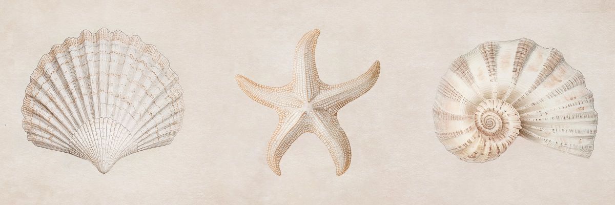 Aquatic Harmony Triptych Wall Art