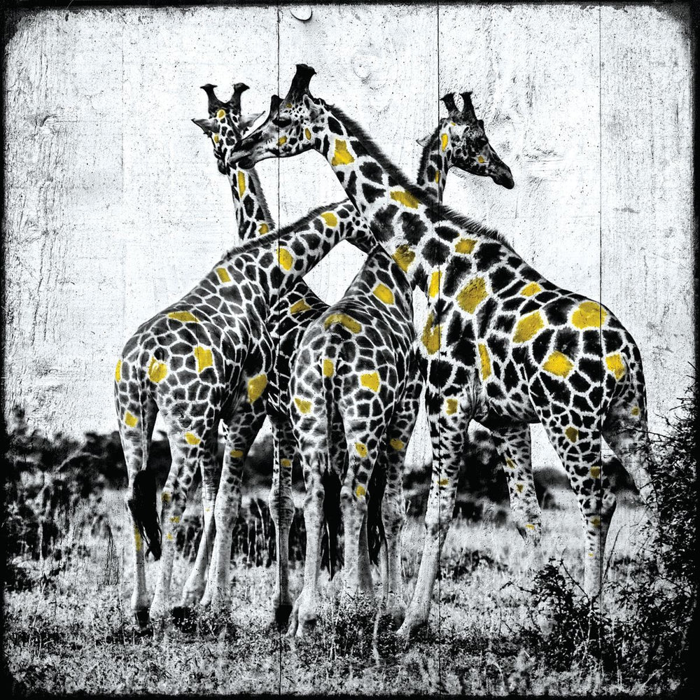 Giraffes Pop