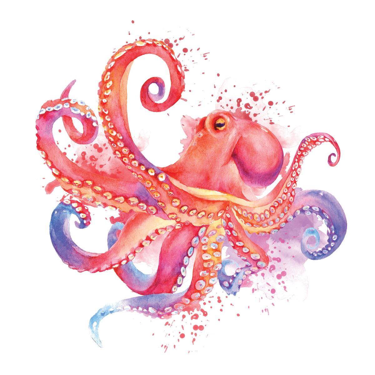 Watercolor Pink Octopus