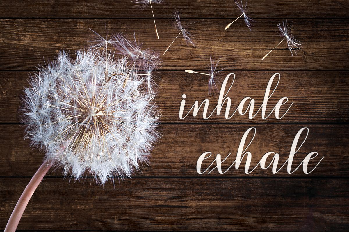 Inhale Exhale Zen VII