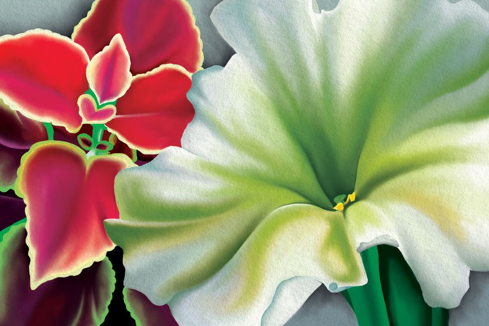 Coleus And White Petunia Flowers