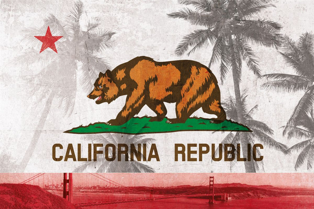 Flag Of California