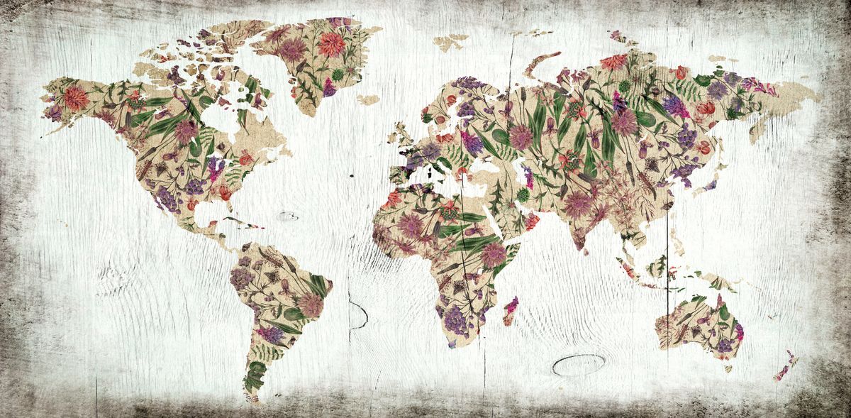 Dainty Floral World Map