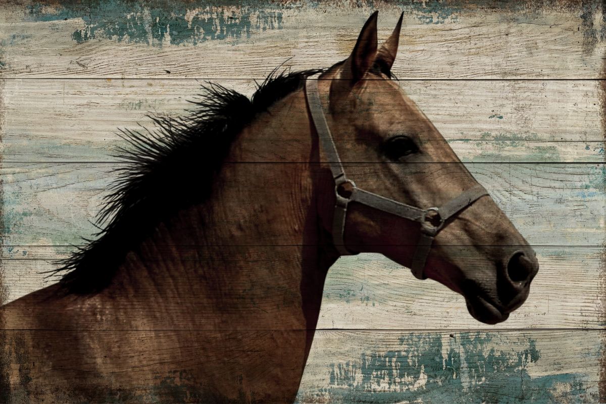 Horse In Bridle