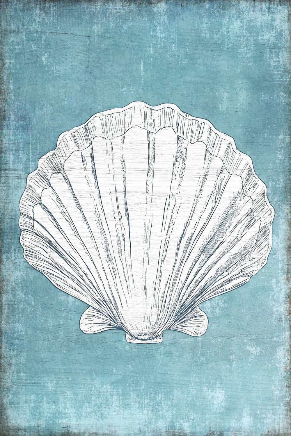 Scallop On Blue Wall Art