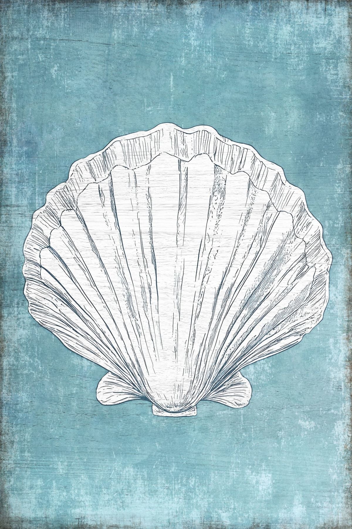 Scallop On Blue Wall Art