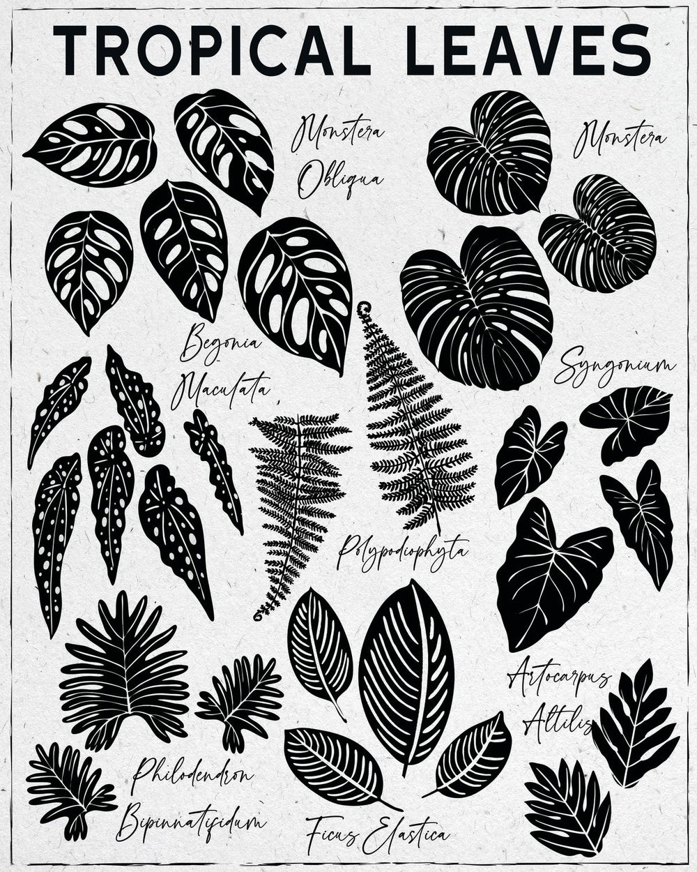Tropical Leaves Chart