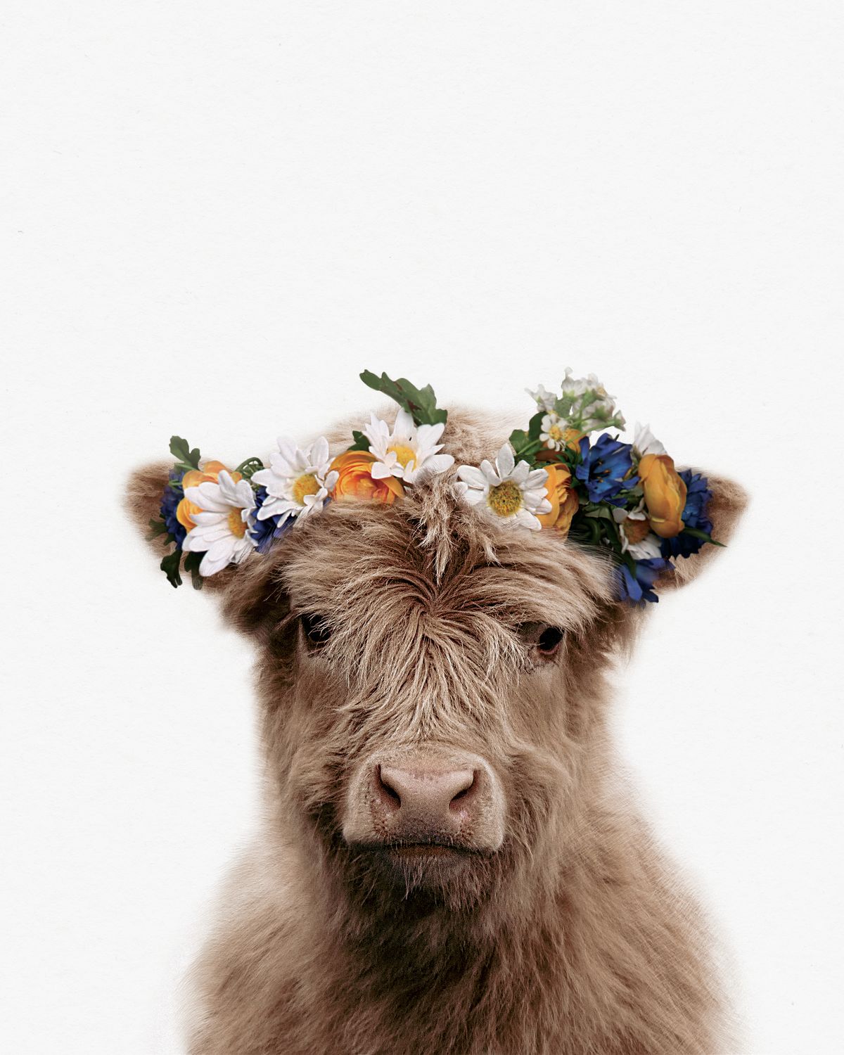 Flower Crown Highland Cow