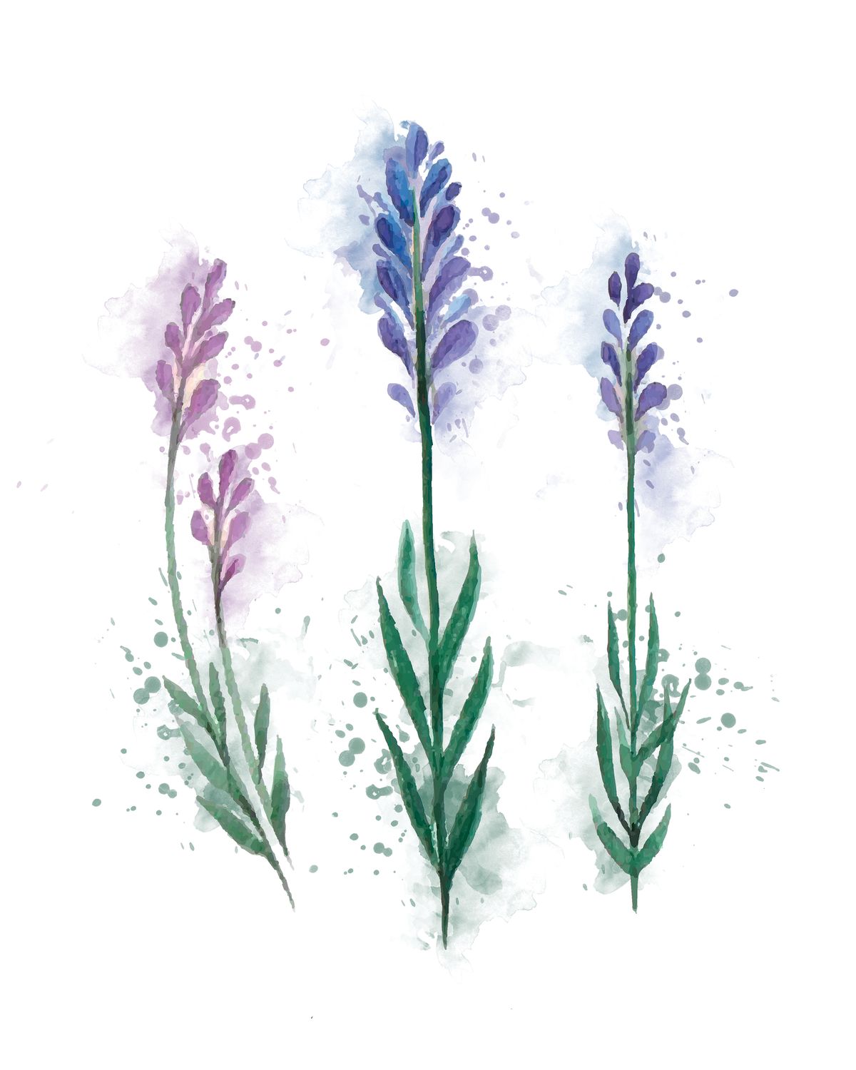 Lavender Stems Splatter