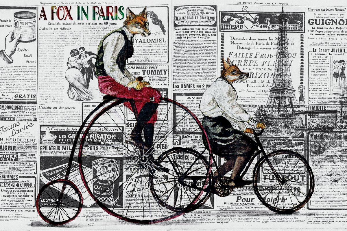Paris Newsprint Foxes
