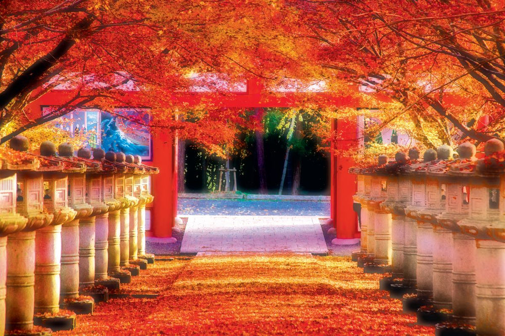 Japanese Maple In Autumn