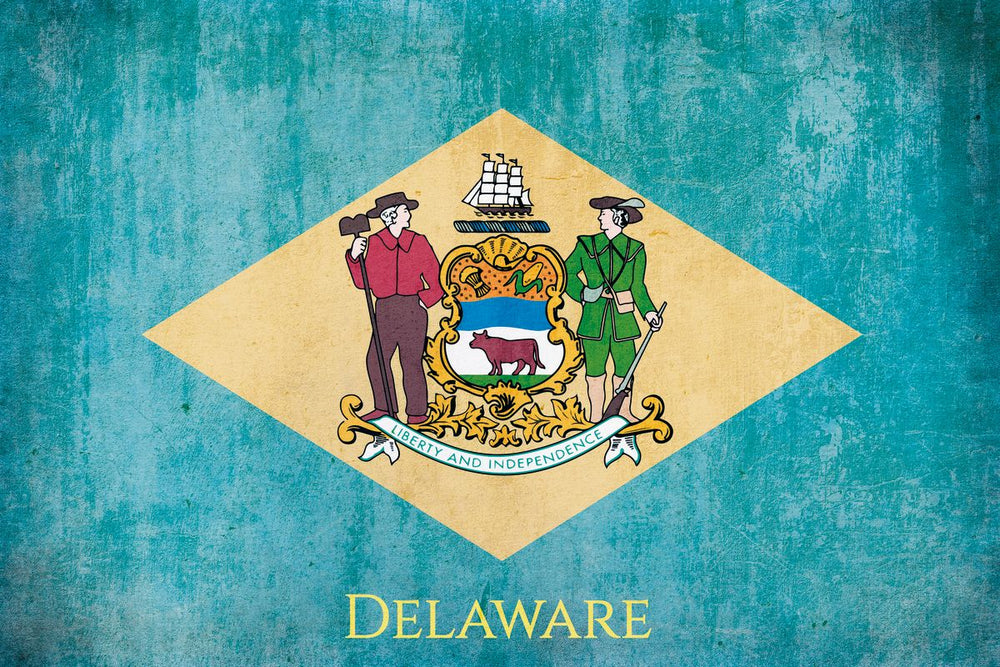 Delaware State Flag