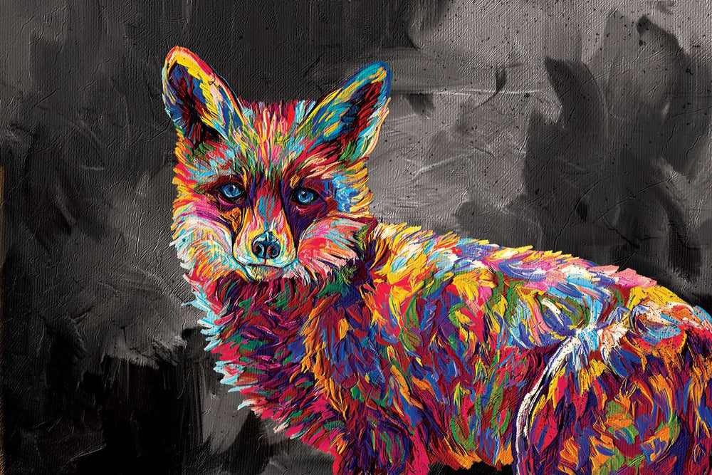 Fox Gaze Abstract Color