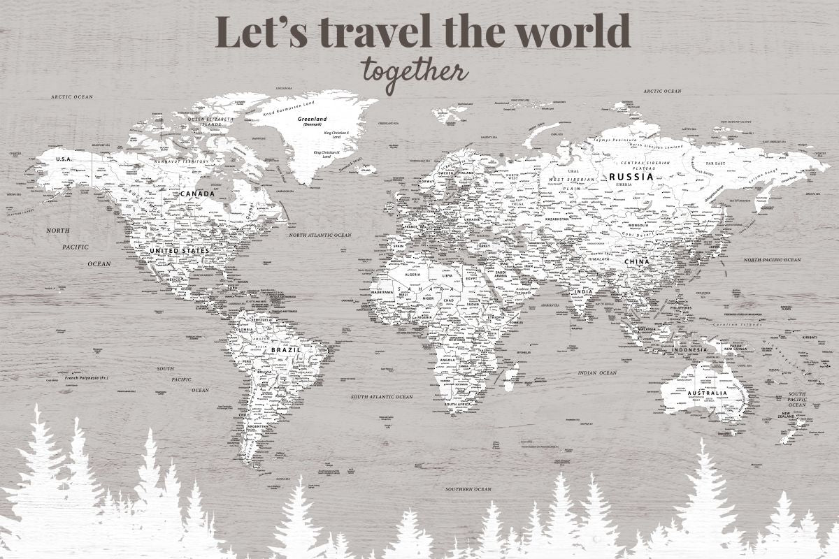 Let's Travel II Push Pin World Map